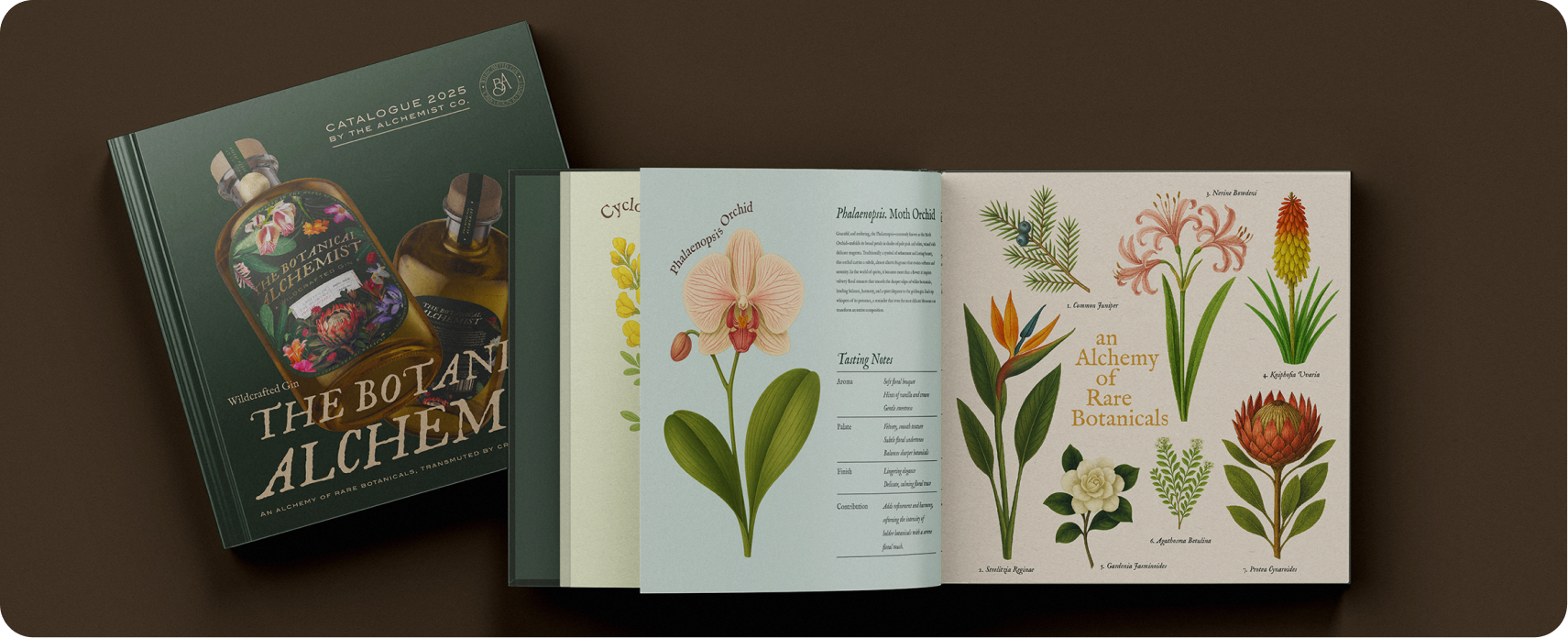 The Botanical Alchemist — hardcover brand book showcasing the full visual identity system