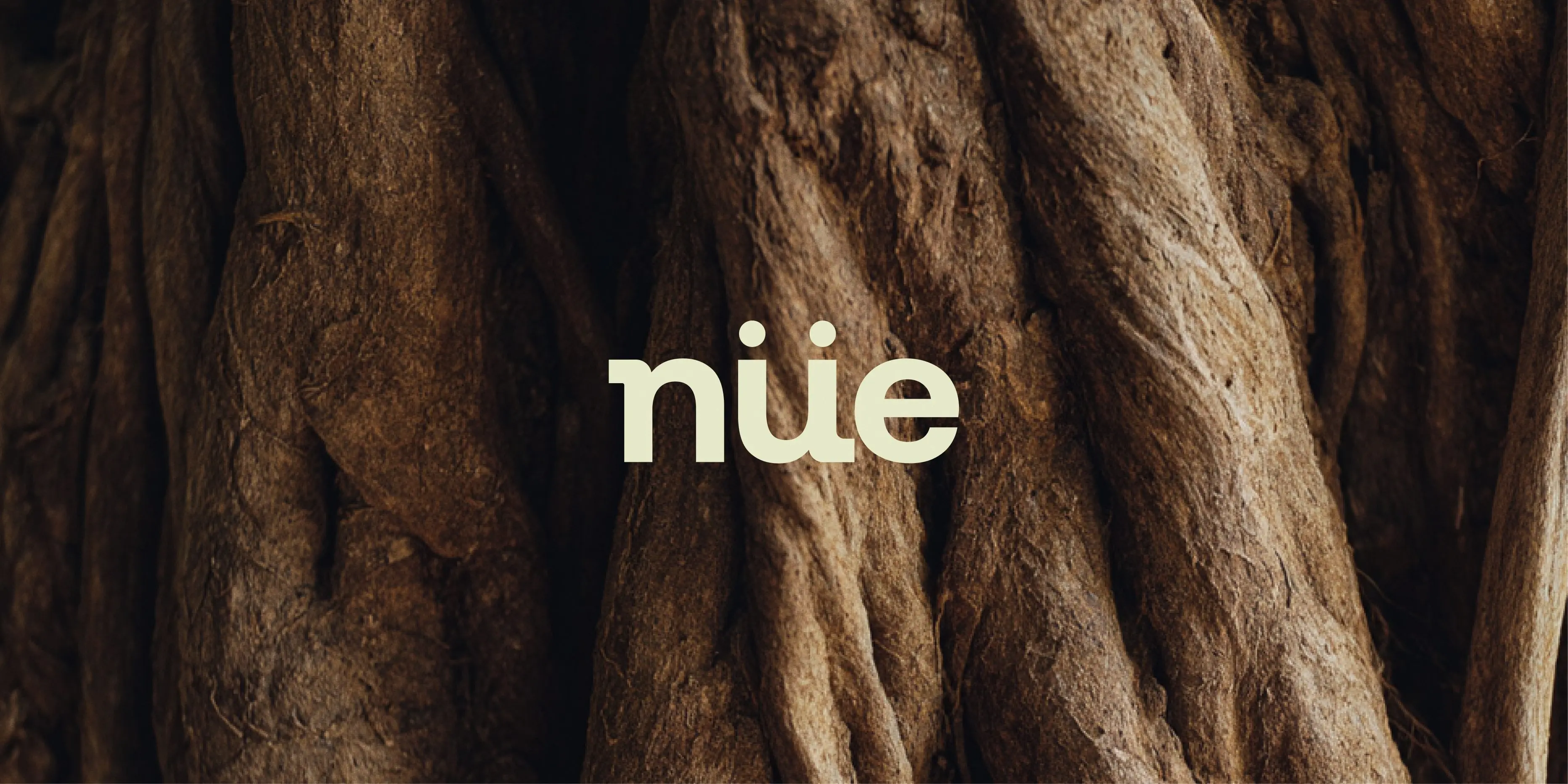 NÜE brand - 01