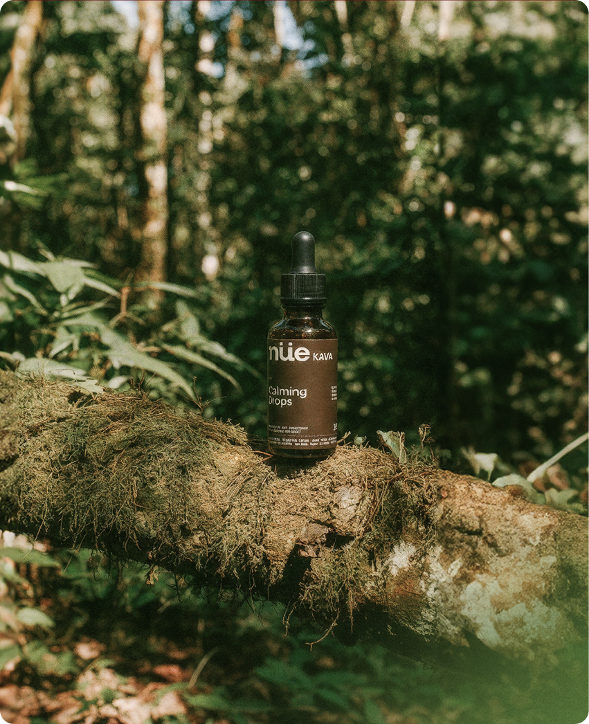 NÜE — gummies pouch product photography on natural backdrop