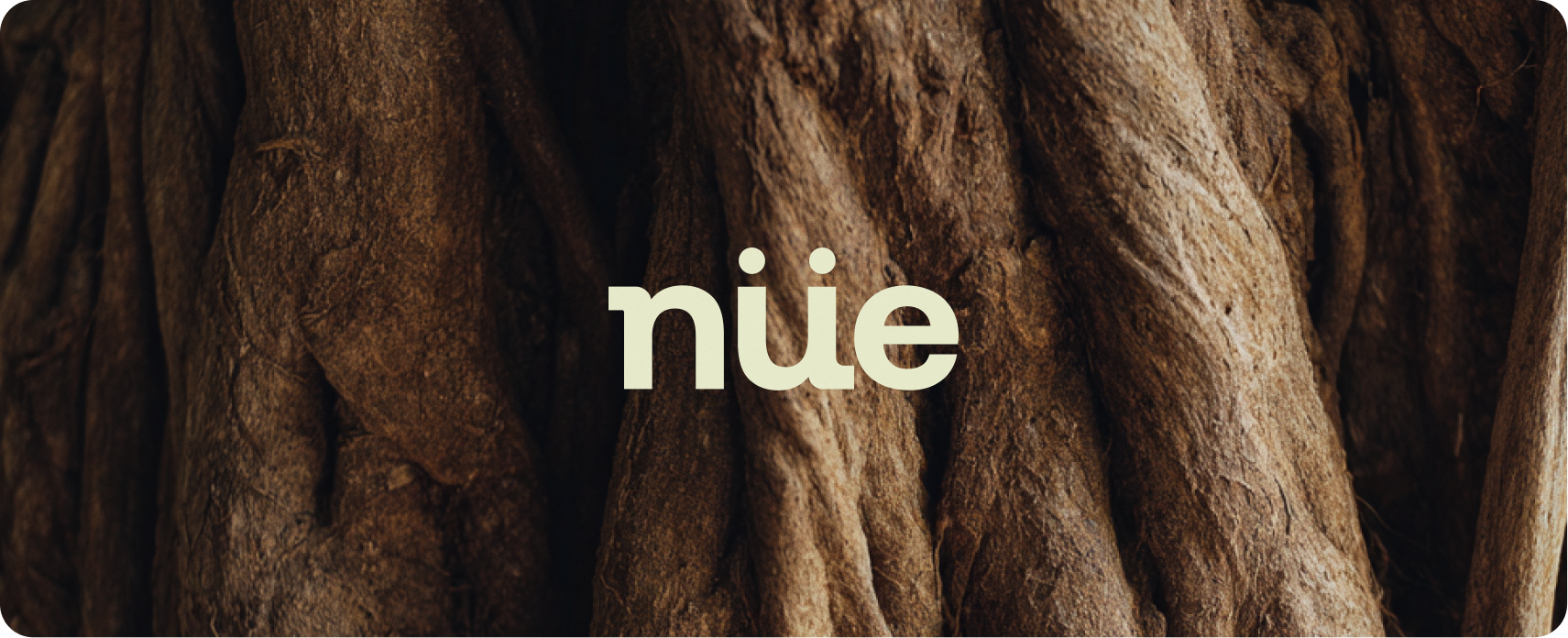 NÜE — modern wellness brand hero shot featuring the multi-SKU supplement lineup on a Pacific Blue backdrop, with the NÜE wordmark and ritual-led brand world