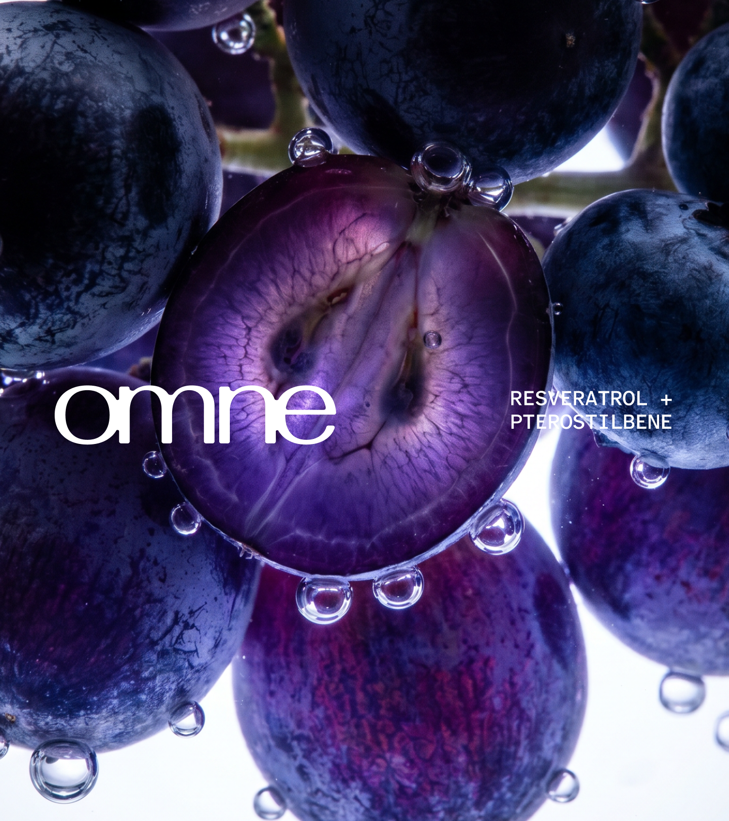 Omne — close-up of fresh plums as a raw ingredient reference