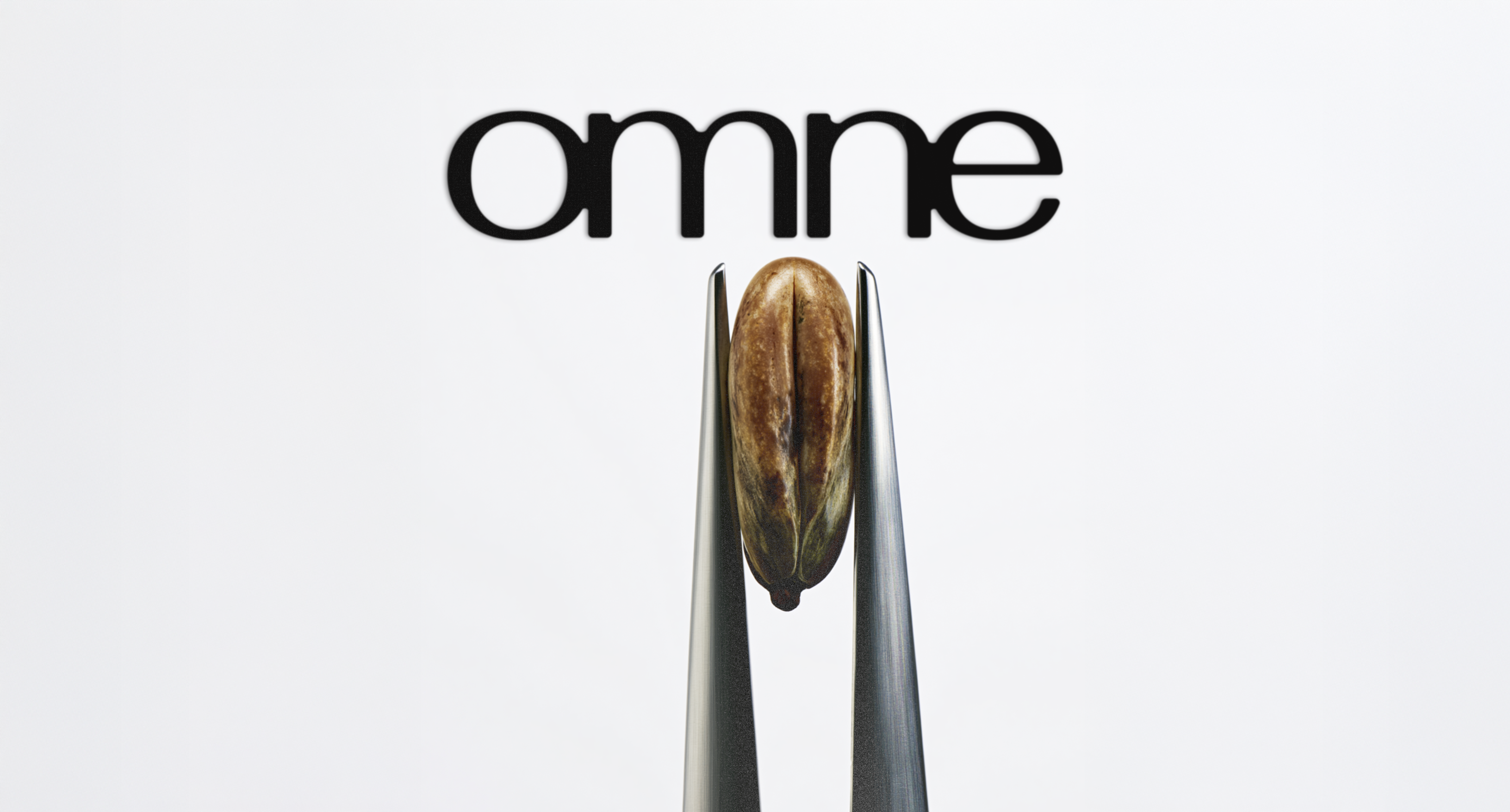 Omne — longevity supplement brand hero featuring the lowercase wordmark and a single bottle on a deep plum and black backdrop