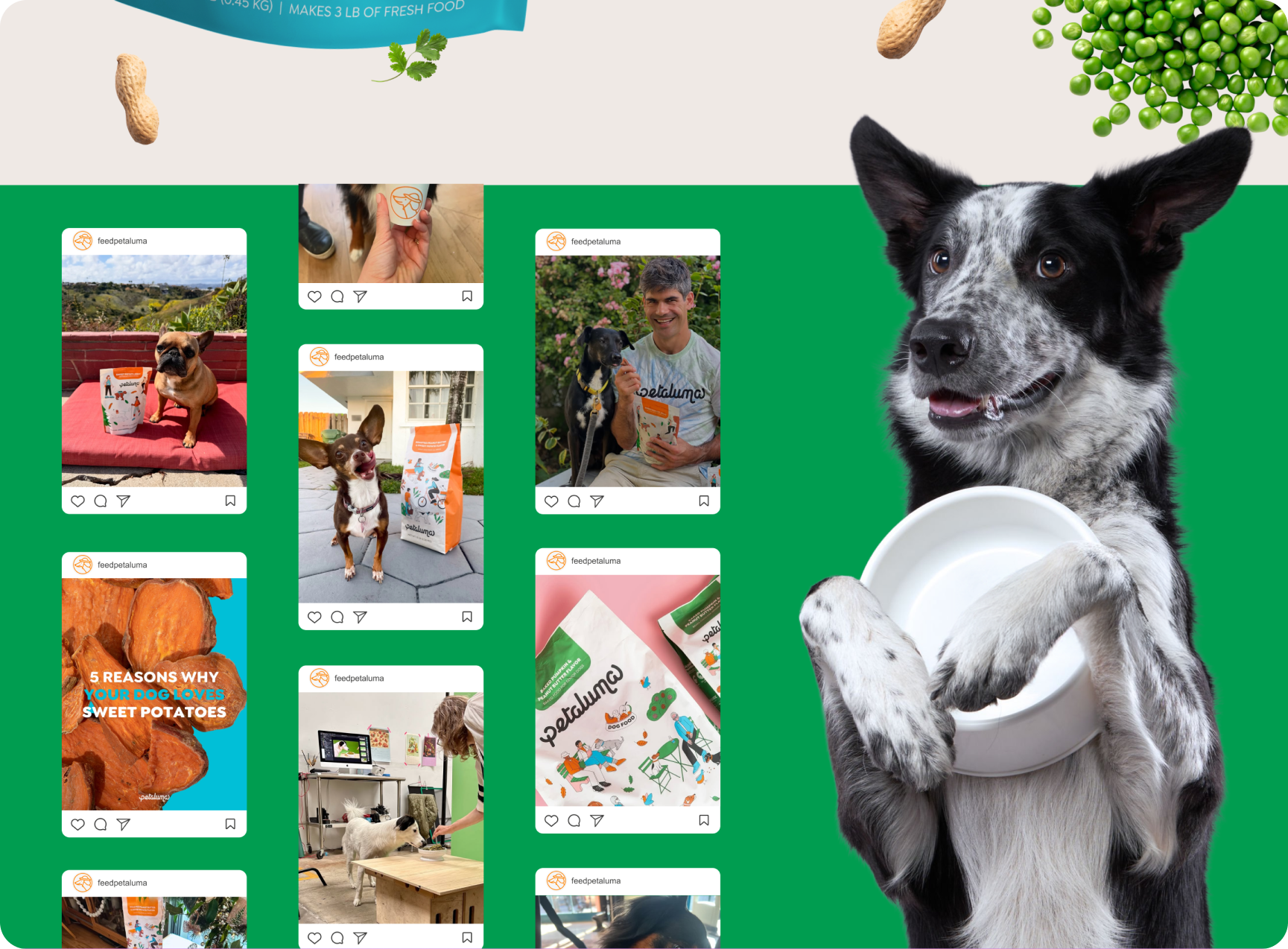 Petaluma — product page layout demonstrating the digital extension of the brand