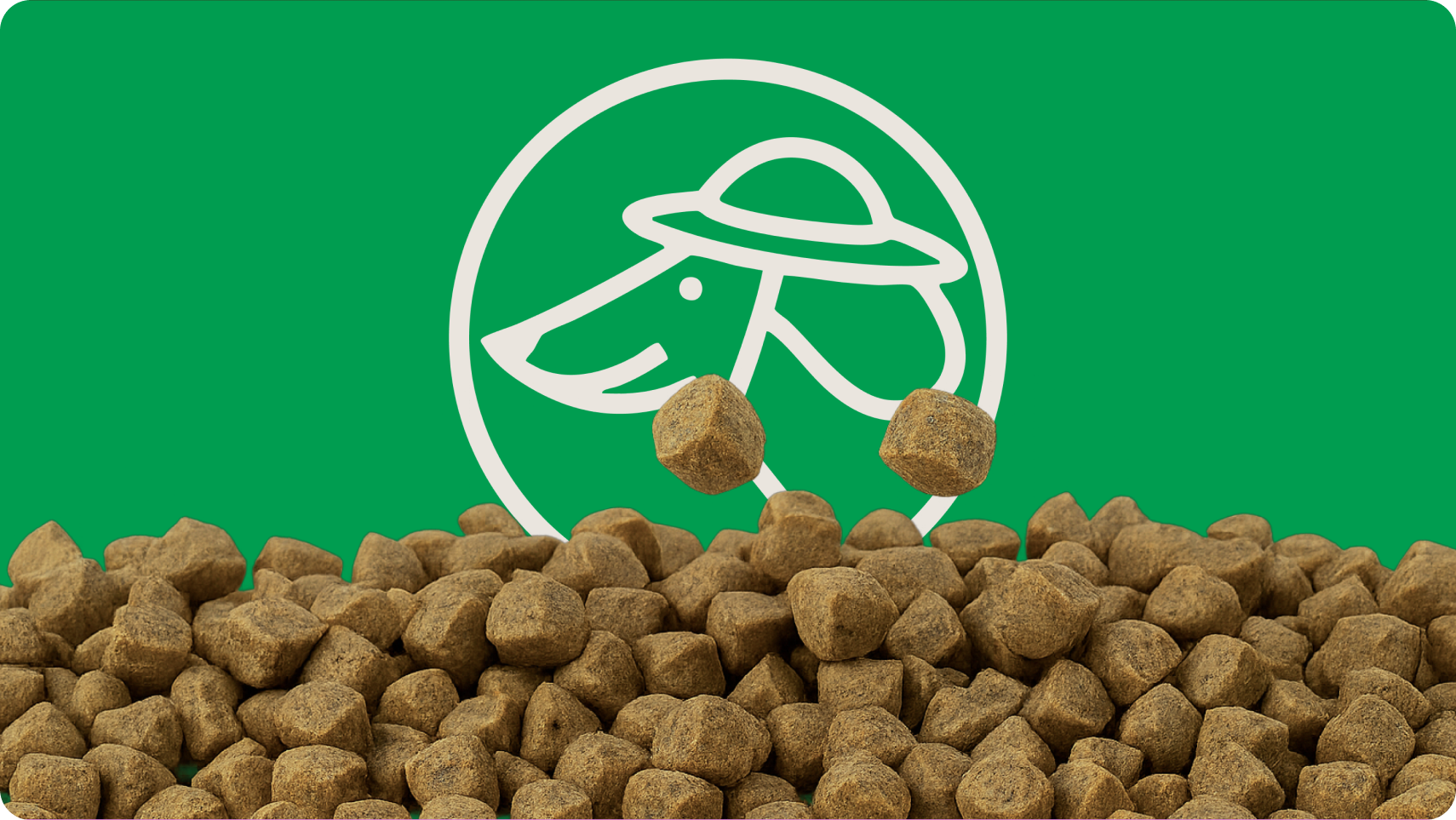 Petaluma — final brand world layout combining packaging and lifestyle imagery