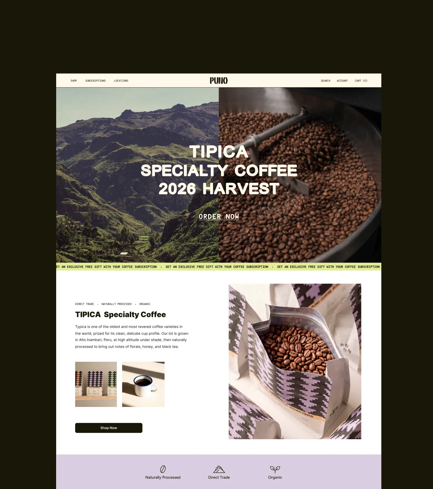 Puno — the punocoffee.com homepage mockup with a split hero image (green Peruvian valley left, roasting drum full of beans right), a 'TIPICA / SPECIALTY COFFEE / 2026 HARVEST' headline and 'ORDER NOW' CTA over the image, a scrolling coffee-subscription offer band, then a TIPICA product callout with a purple coffee bag mockup