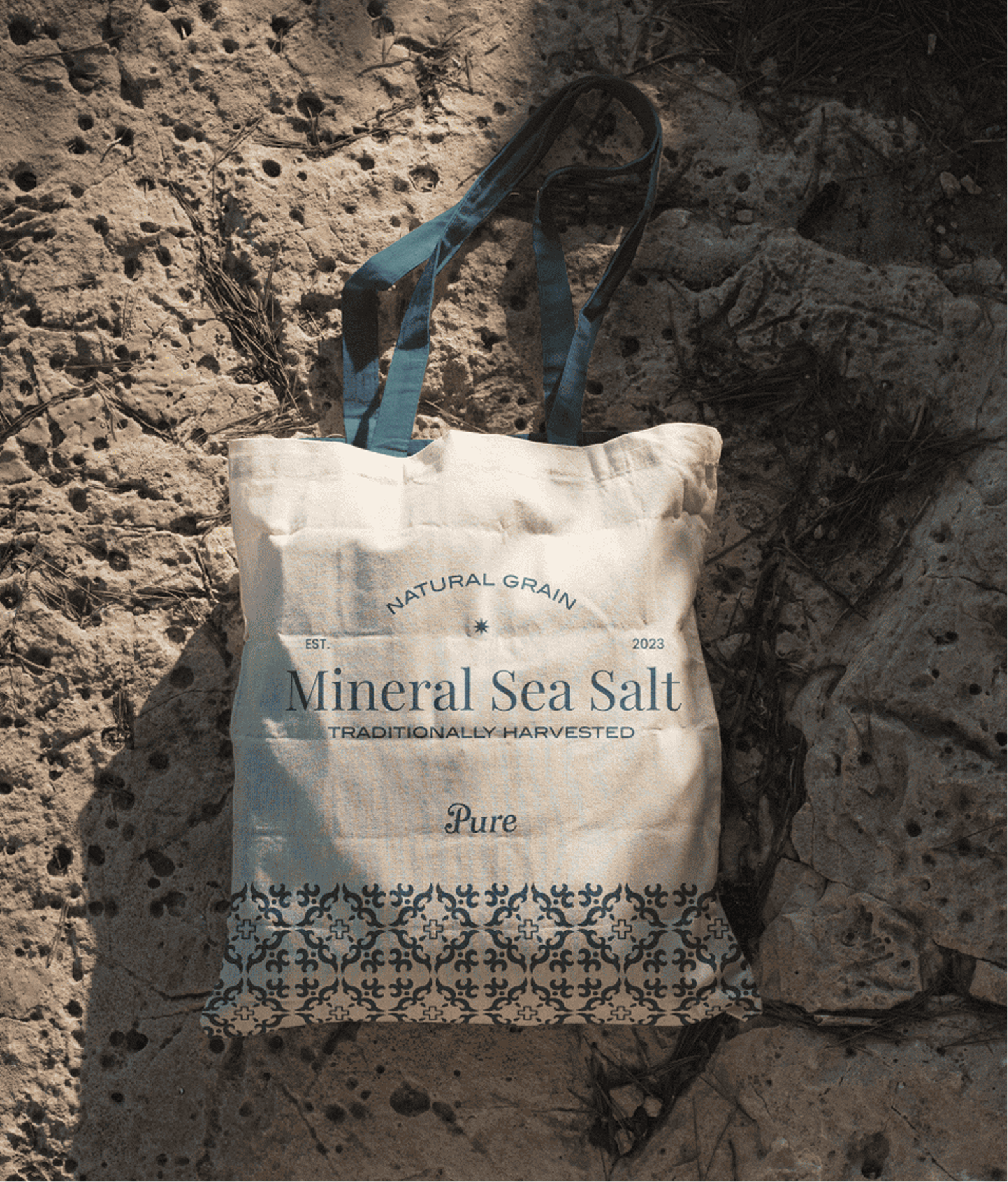 Pure — illustration system detail showing the Baja California ocean-inspired motifs