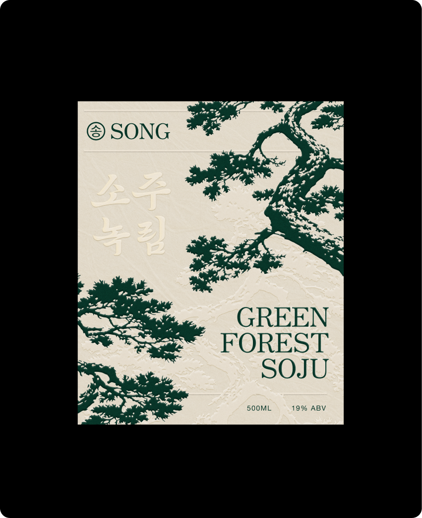 Song — website design surface integrating the print identity