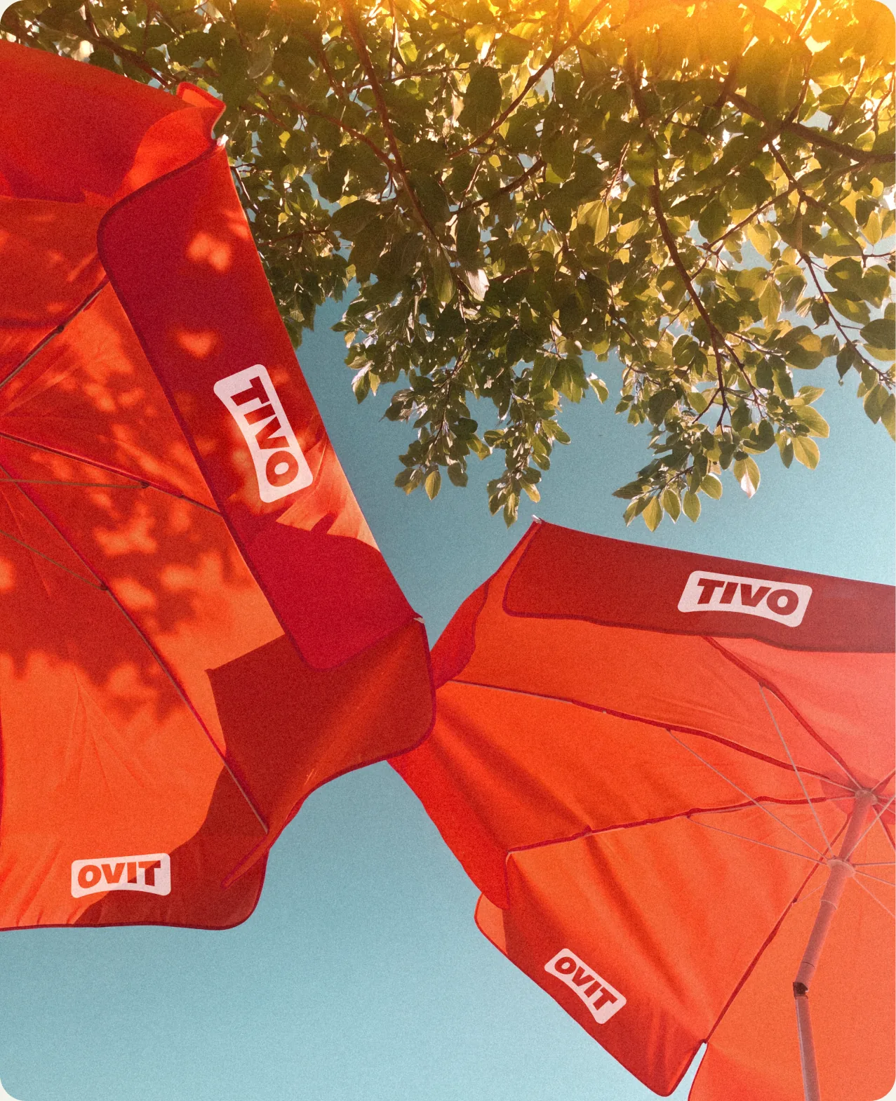 Tivo: red branded umbrellas seen from below against a pale sky and sunlit branches, the wordmark running across the canopy panels