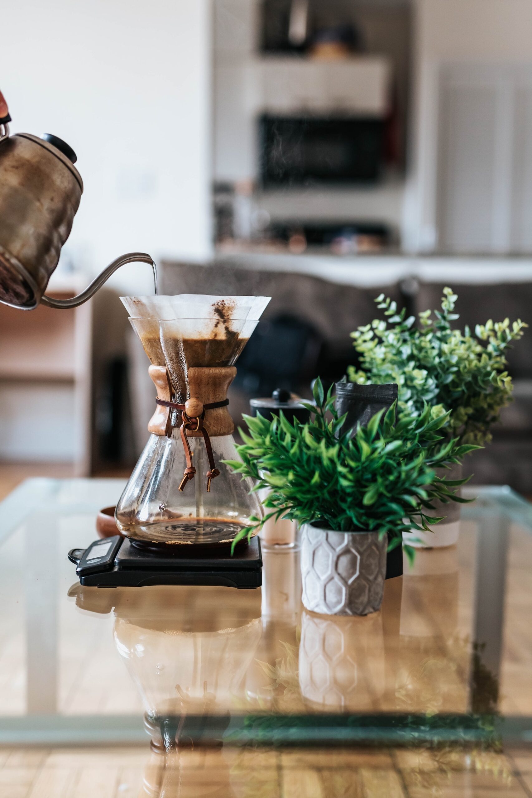 filter coffee maker and green plants displayed on a table